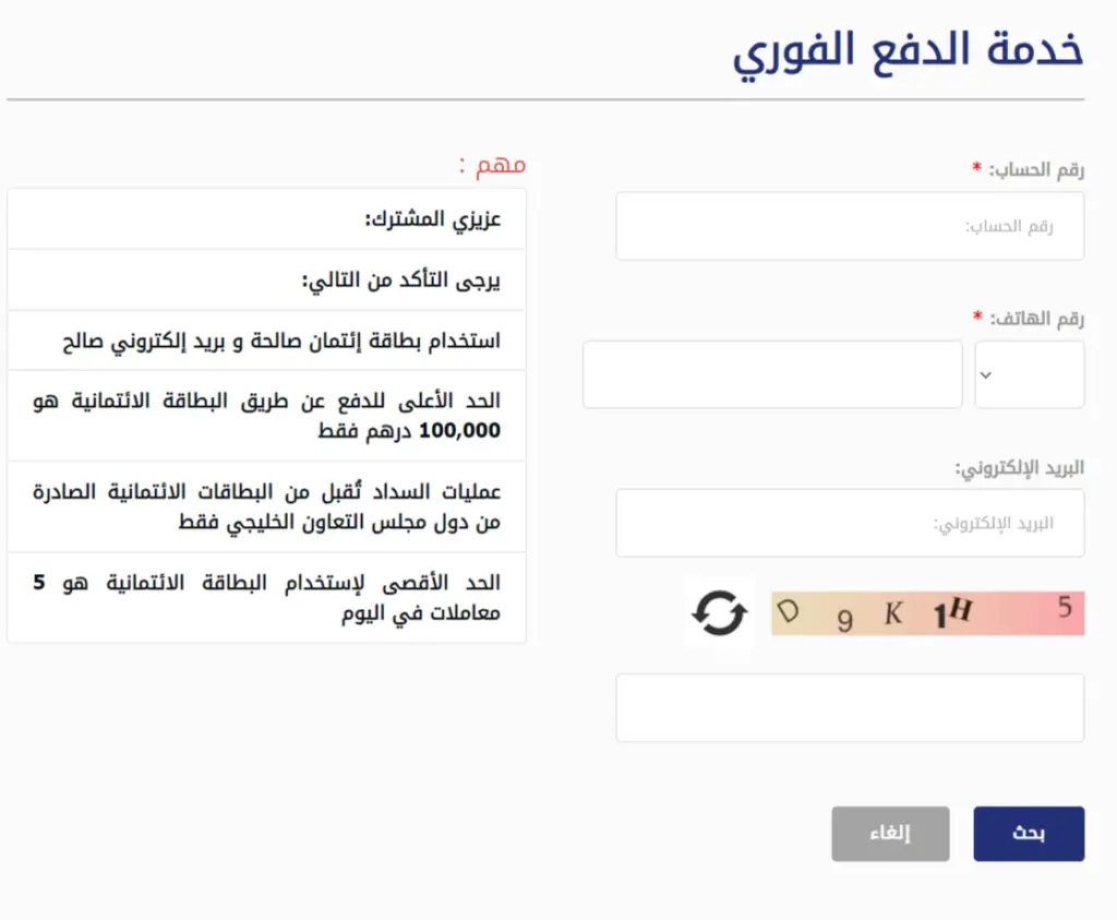 بيانات الإستعلام